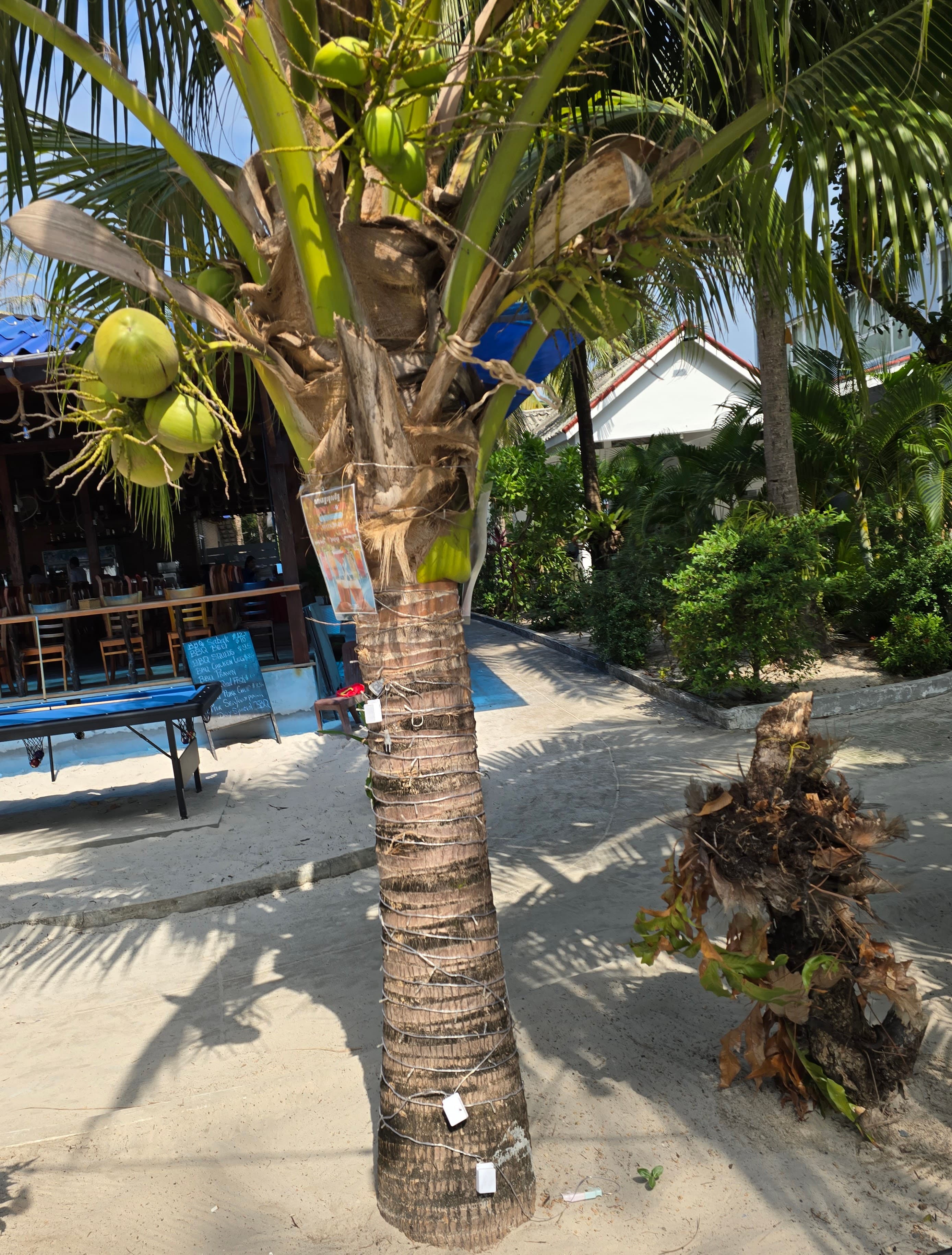 Evening mood along Koh Rong shoreline
